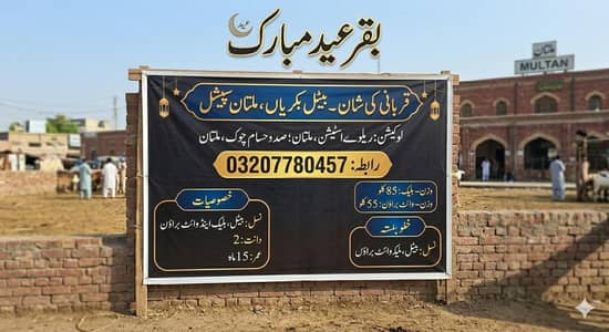 2 Daant Beetal Bakray | Black 85KG | White Brown 55KG | Multan