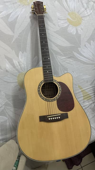 Acoustic Guitar for Sale – Rs. 20,000
