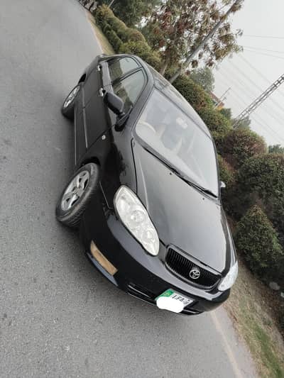 Corolla XLI