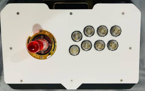 Arcade Stick Custom build
