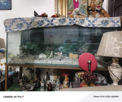 fish tank