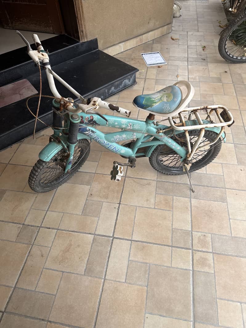 old cycle 1