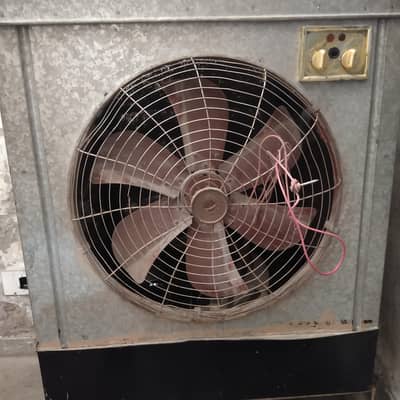 Fresh condition air cooler