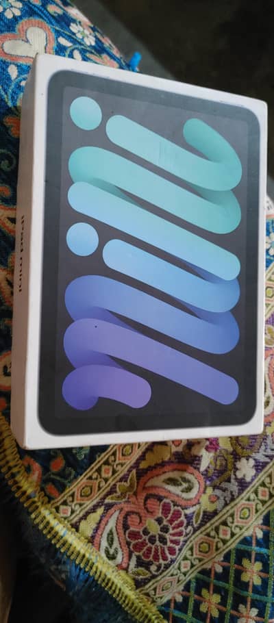 I Pad Mine 6 Silver Gray
