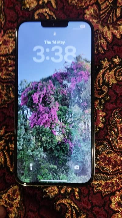 Brand new 13 pro max, sim working.