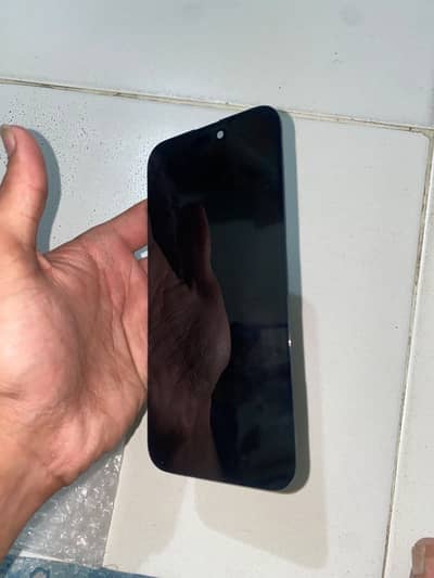 i phone 14 pro max panal