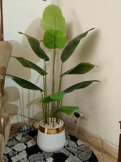 artificial BANANA plant for  sale