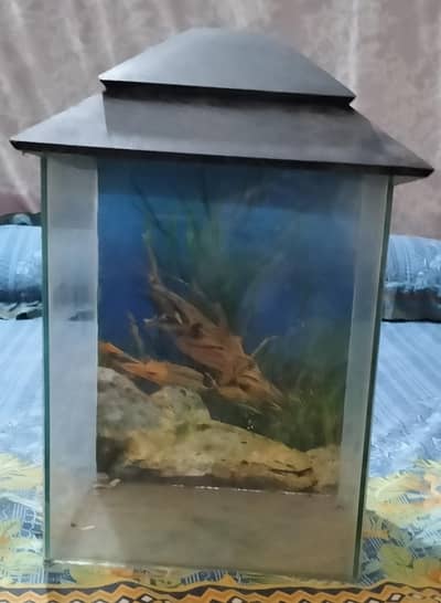 Fish Aquarium for  sale