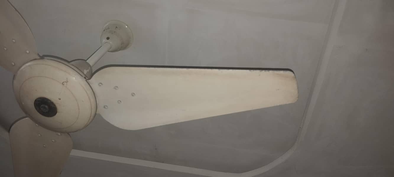 Ceiling Fan 0