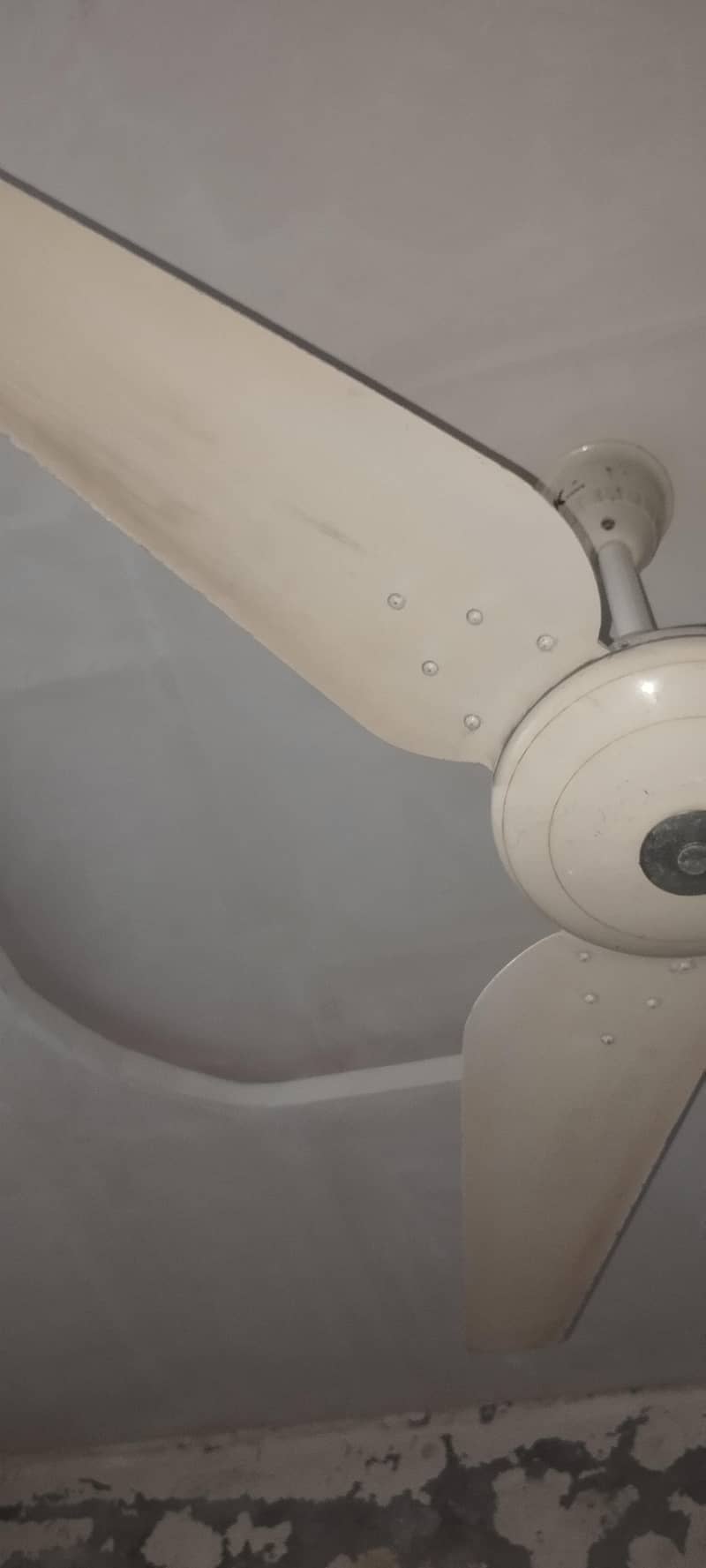 Ceiling Fan 1