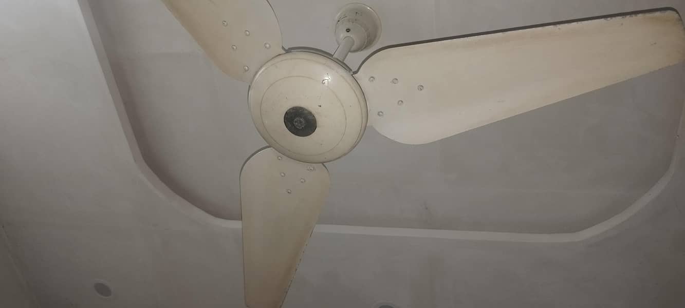 Ceiling Fan 2