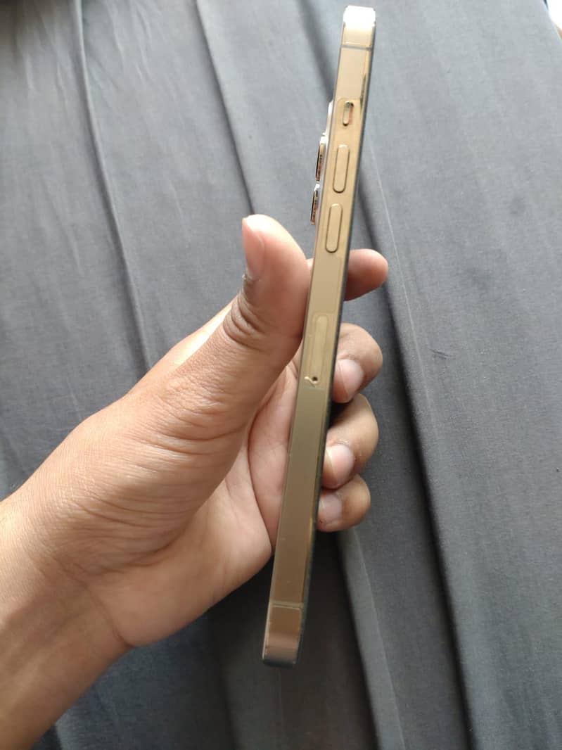 iphone 12 pro max 3