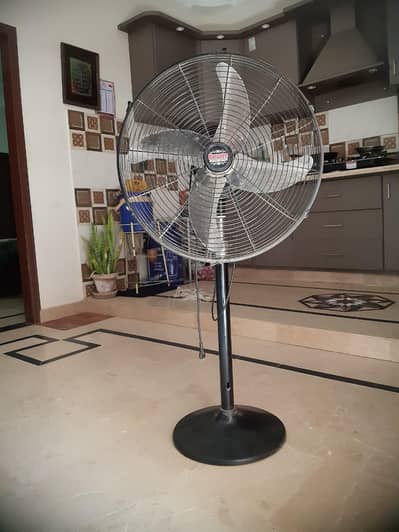 pedestal Ornate Fan