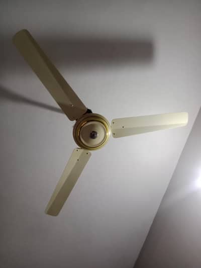 ceiling fan for sale