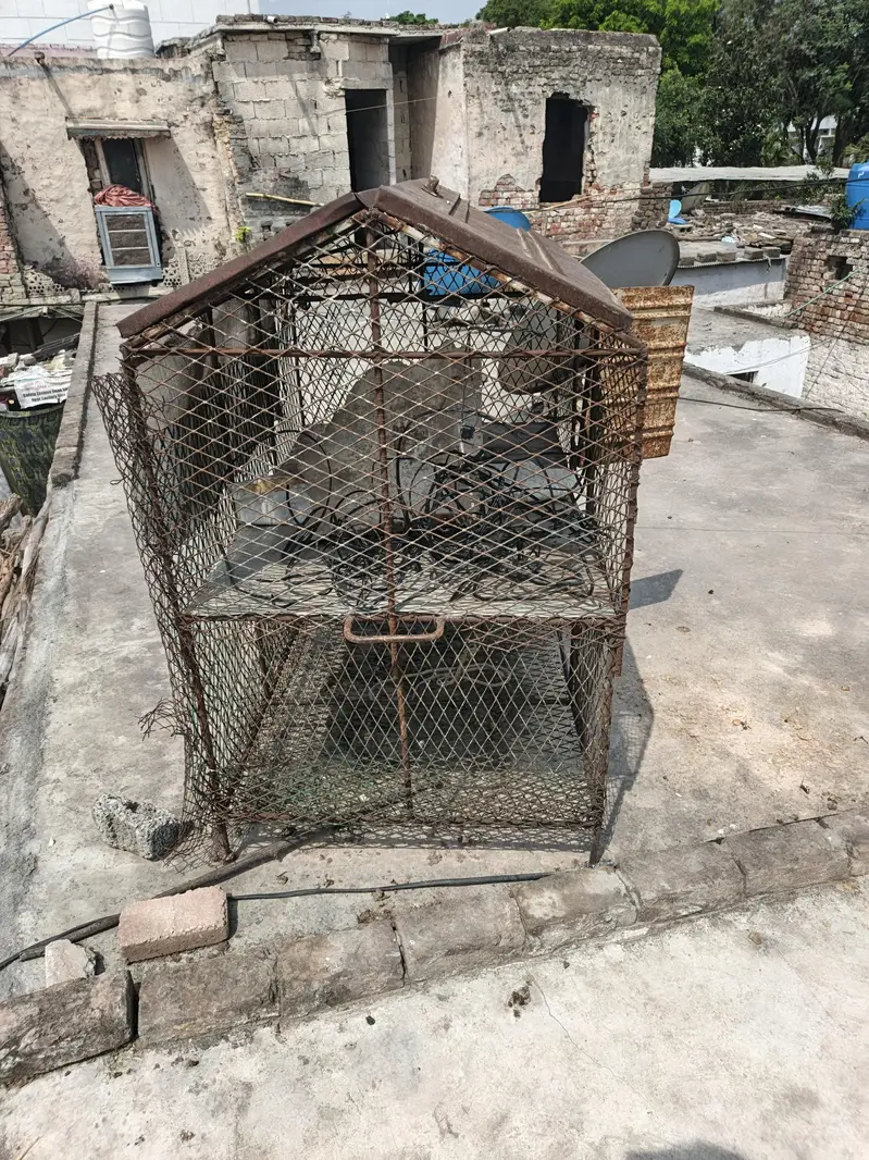 Iron Cage  for sale — photo 2