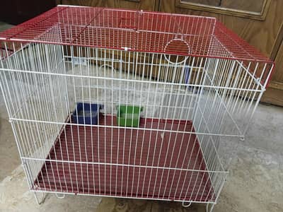 birds cage