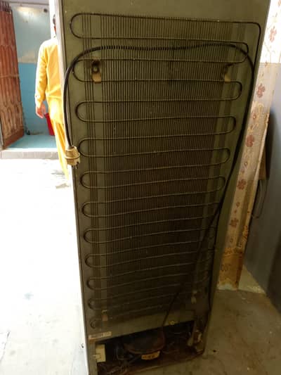 orient refrigerator
