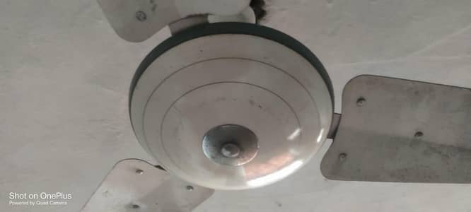 qazi fan pure copper winding