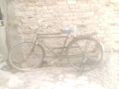 phoenix cycle
