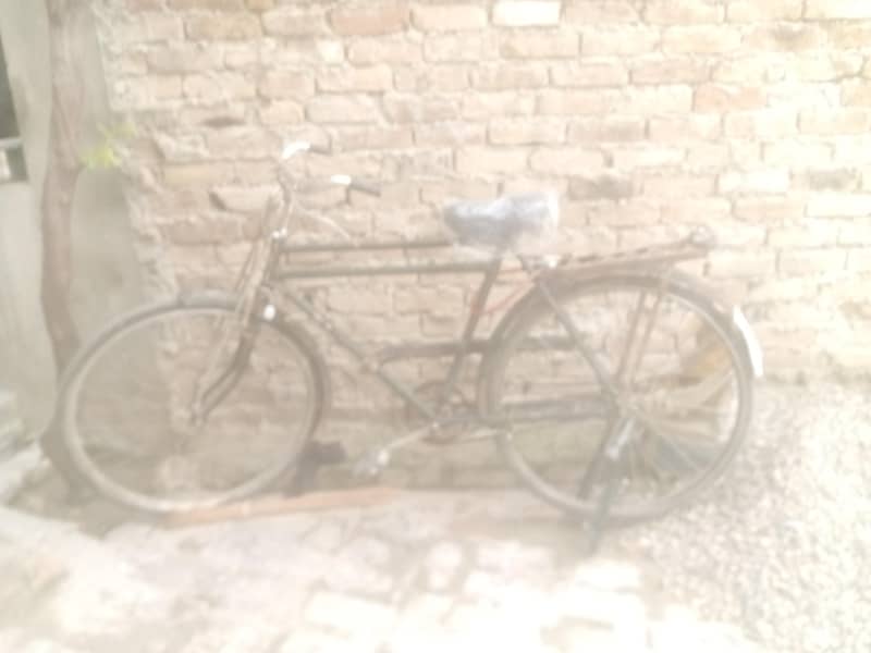 phoenix cycle 1