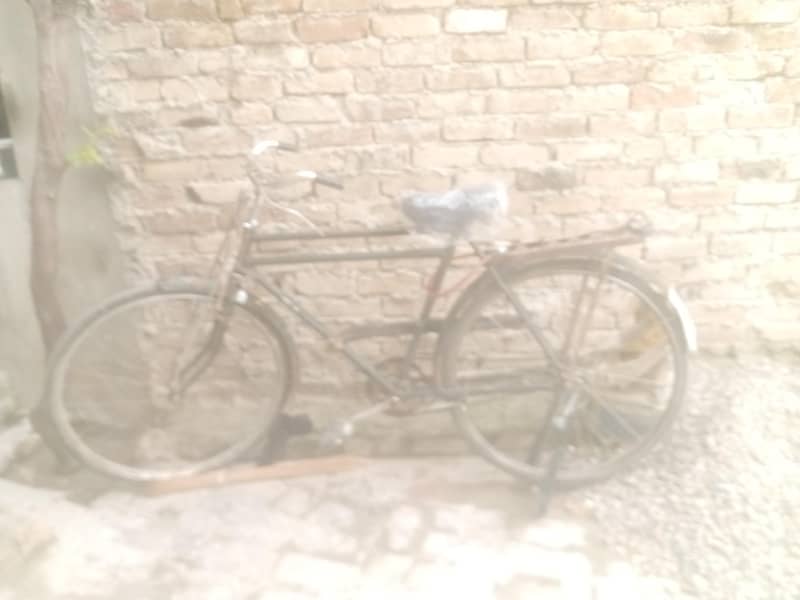 phoenix cycle 2