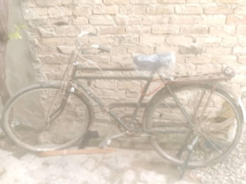 phoenix cycle 3