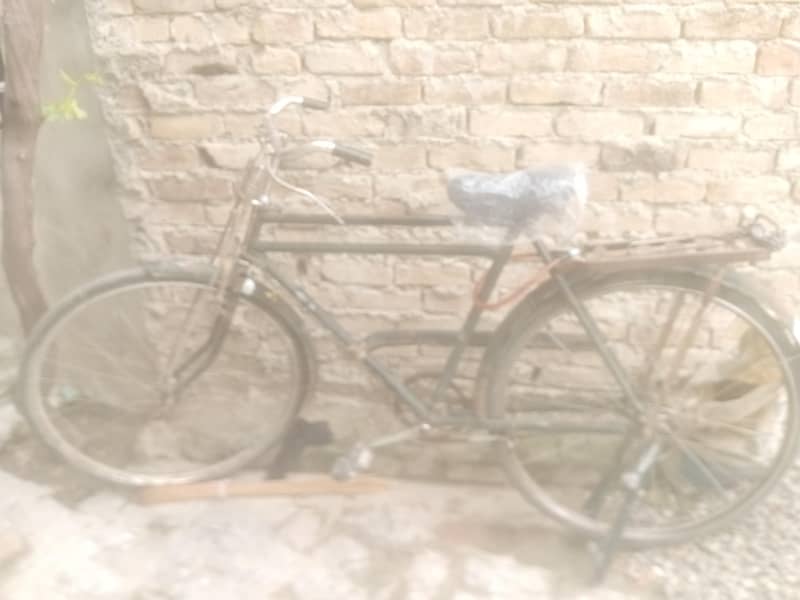 phoenix cycle 4