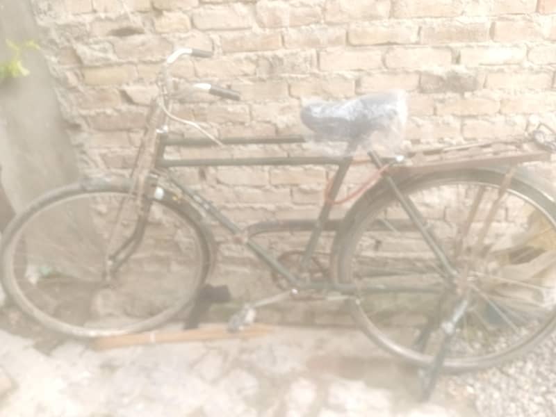 phoenix cycle 5