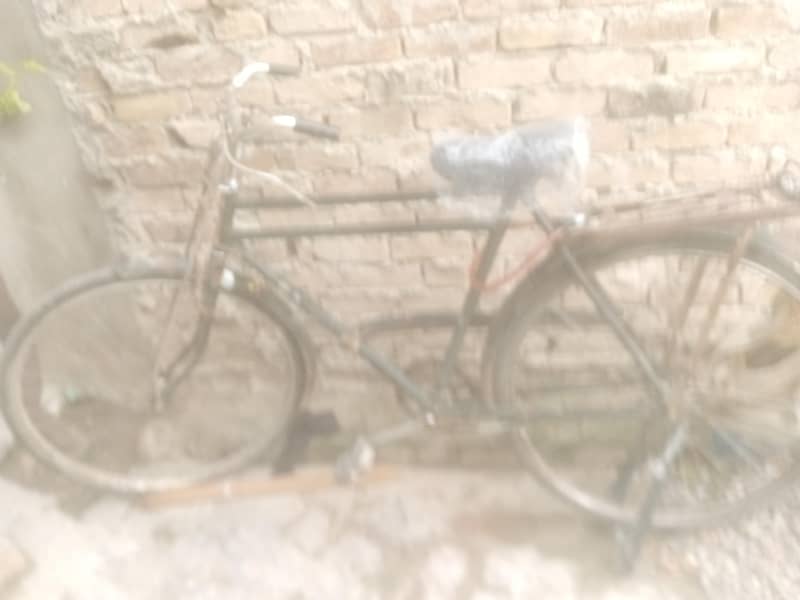 phoenix cycle 6