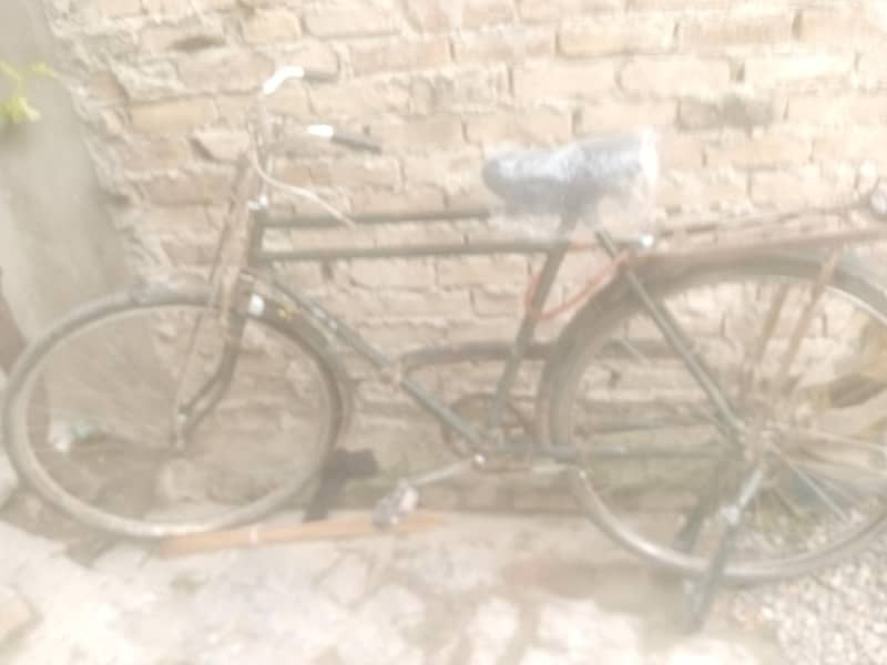 phoenix cycle 7