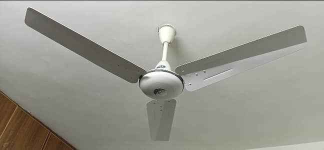 Pak Fan for sale