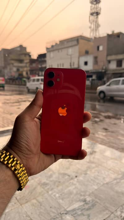 iPhone 12 Jv