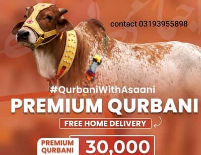 qubani hasa 30000