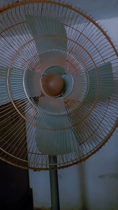 Fan used