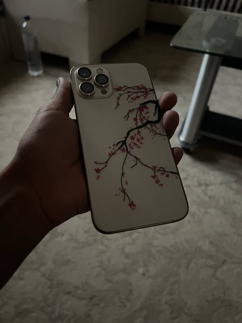 IPhone 12 Pro Max 0