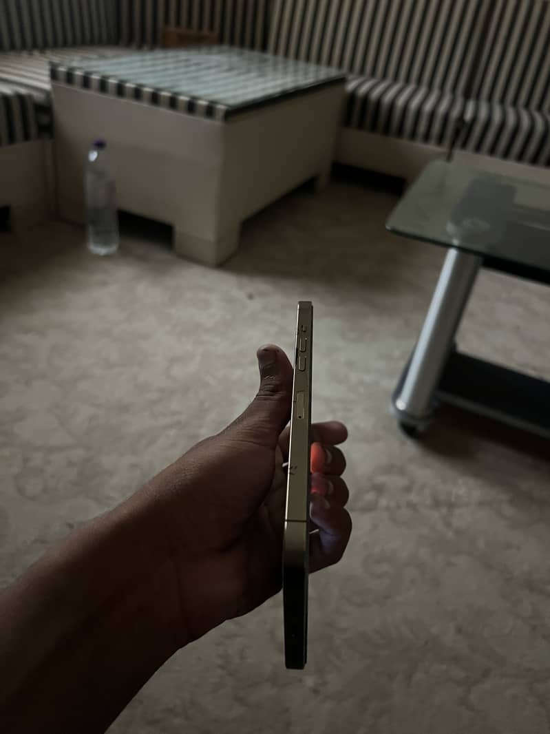 IPhone 12 Pro Max 3