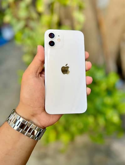 Iphone 12 128gb Pta Approved
