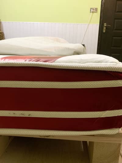 Slightly used molty sleep delux 10 inches