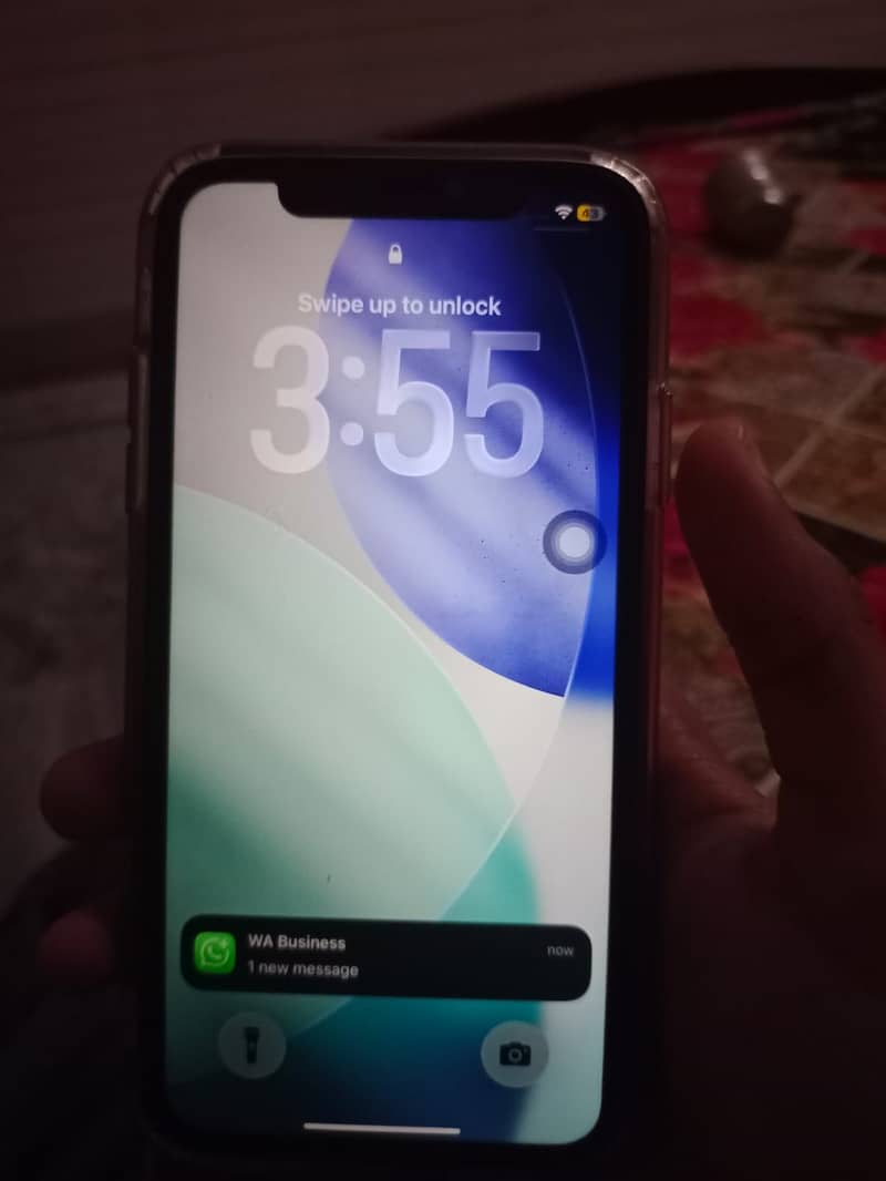 iPhone 11 0