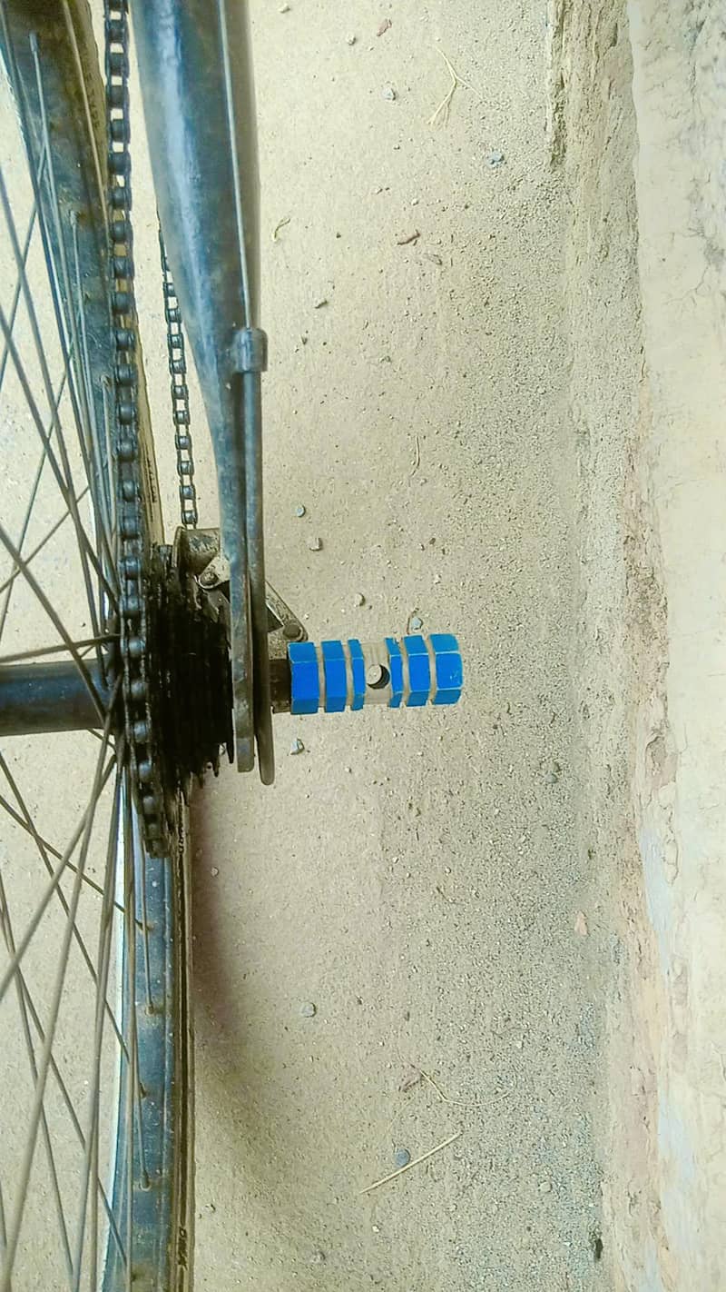 double shock cycle 3