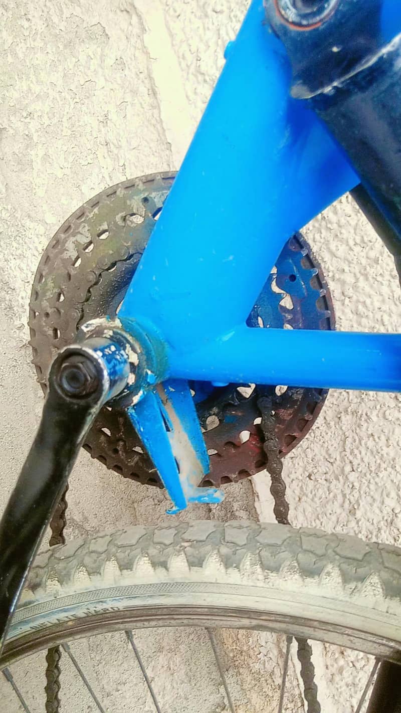 double shock cycle 5