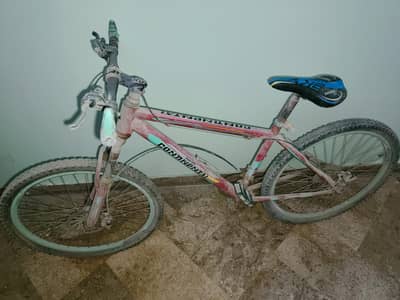 Continental brand mountain cycle