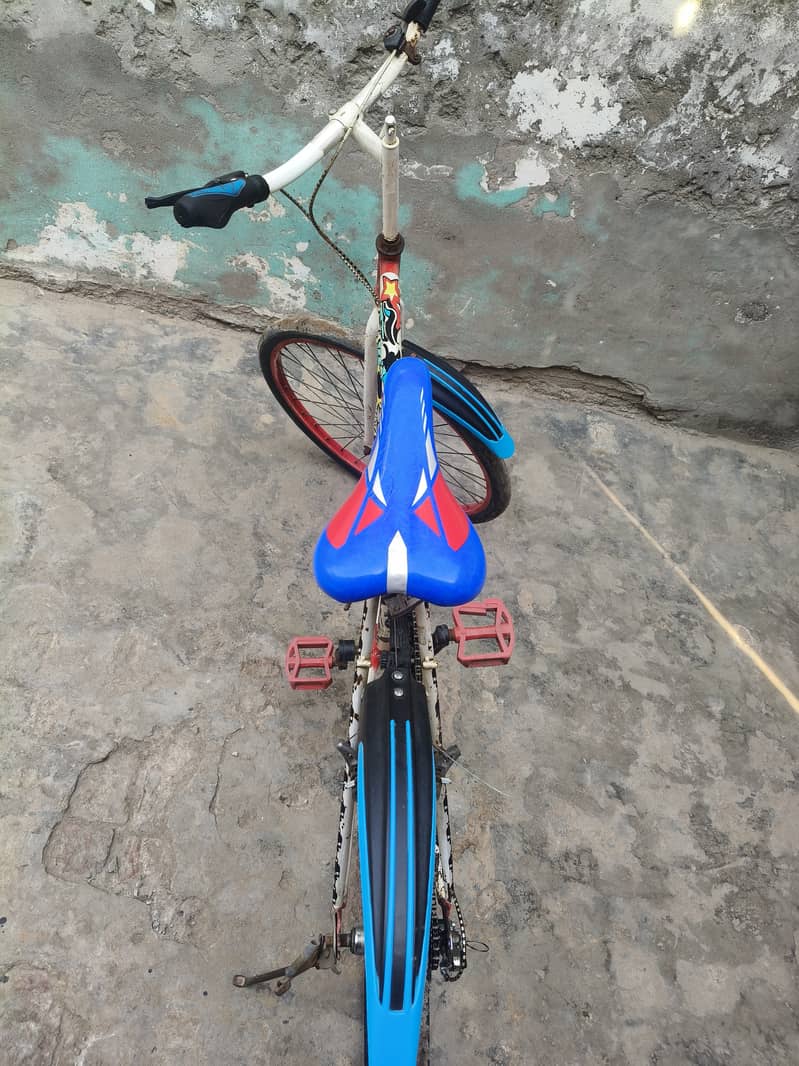 Customized 3