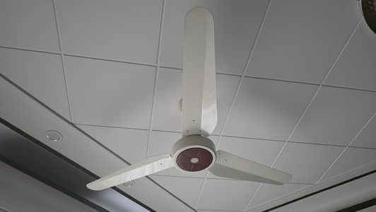 Two Ceiling Fans for Sale (Brand: Pak Fan)