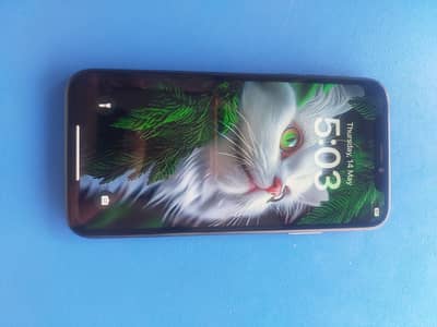 Apple iPhone X