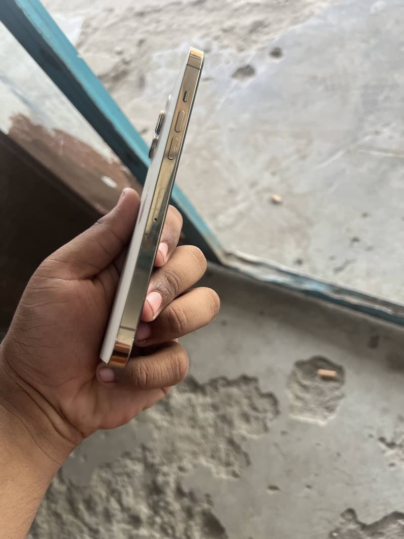 iPhone 12 Pro Max 1