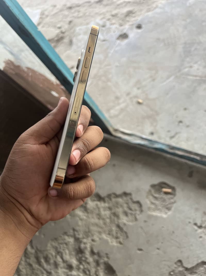 iPhone 12 Pro Max 6