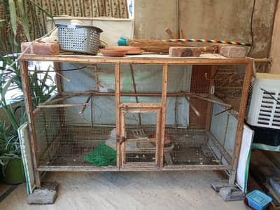 cage big size
