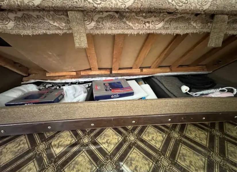 Sofa Cum bed 3