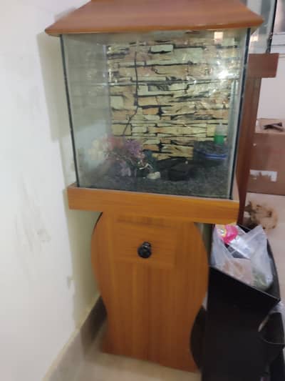 Fish Tank with Wooden Stand, Accessories & Free Female Guppy